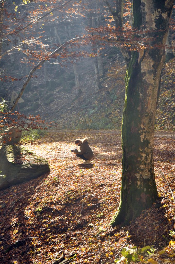 Foto Parco Nazionale Foreste Casentinesi