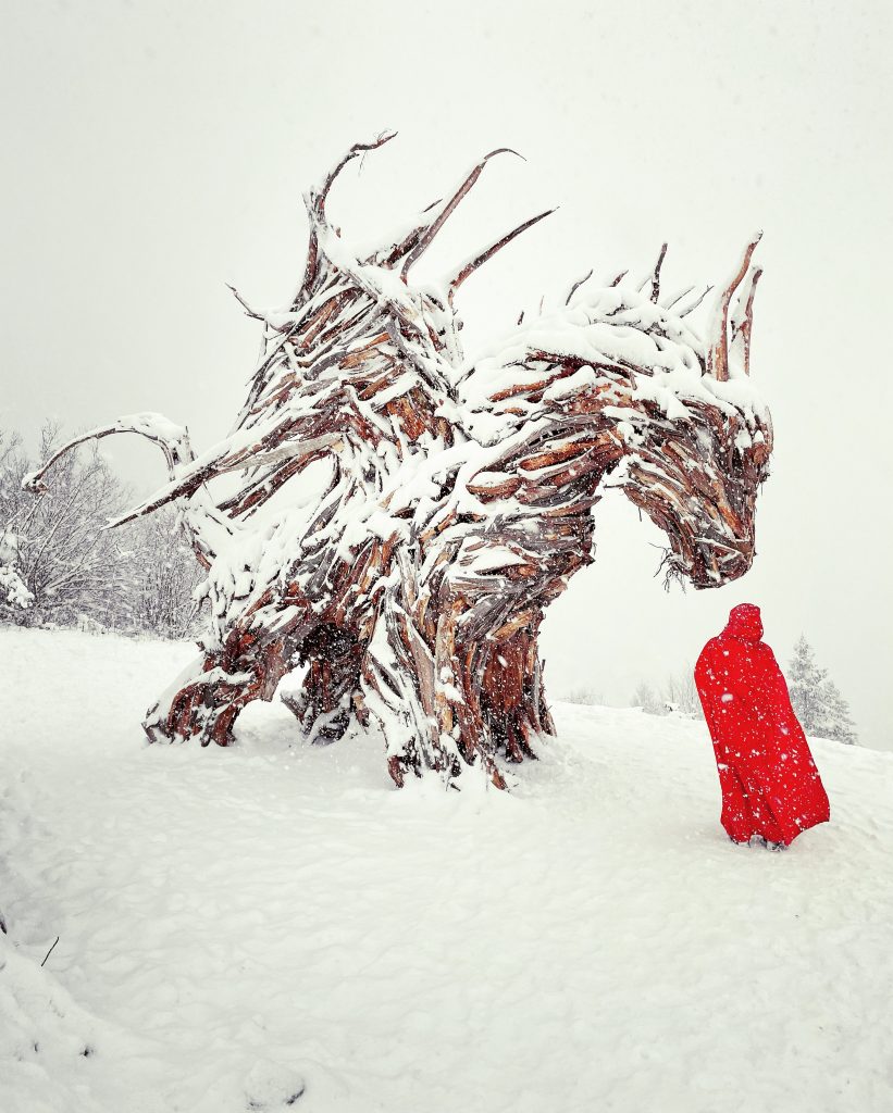 Drago di Vaia in veste invernale - Foto Andreas Tamanini