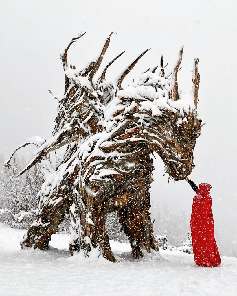 Drago di Vaia in veste invernale - Foto Andreas Tamanini