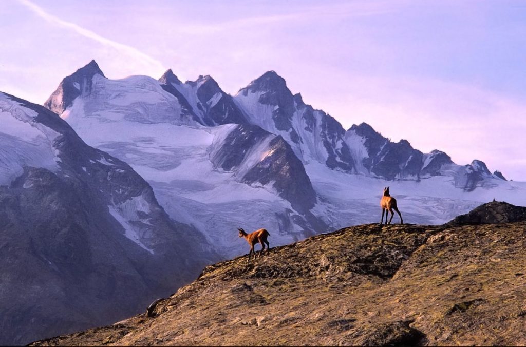 parco gran paradiso, oscar dell'ecoturismo