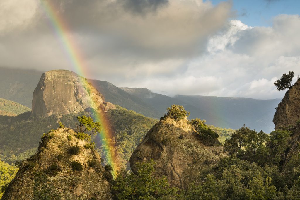 Parco Nazionale dell