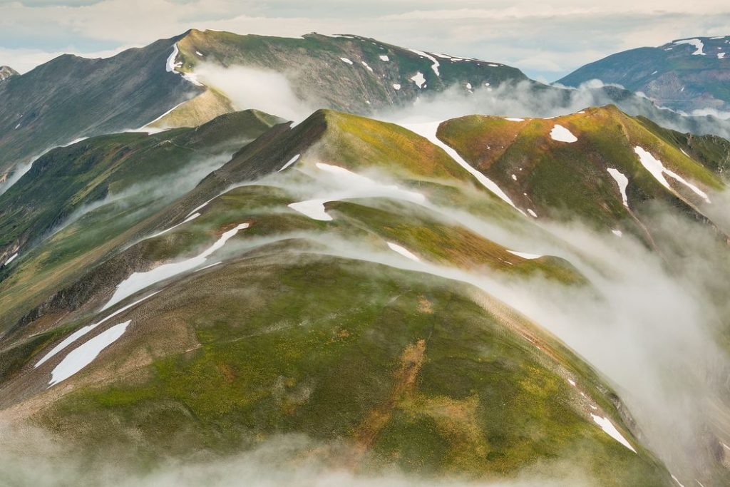 Parco Nazionale dei Monti Sibillini, Umbria e Marche. Tarda primavera sulle praterie sommitali - Maurizio Biancarelli