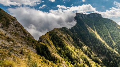 Photo of Il Parco delle Alpi Liguri ottiene la Carta Europea del Turismo Sostenibile