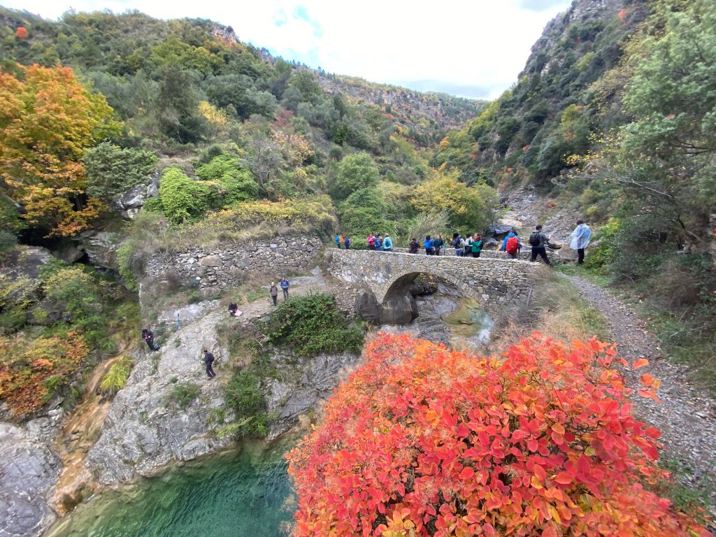 Foto FB Parco delle Alpi Liguri