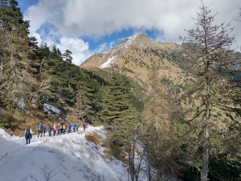 Foto FB Parco delle Alpi Liguri