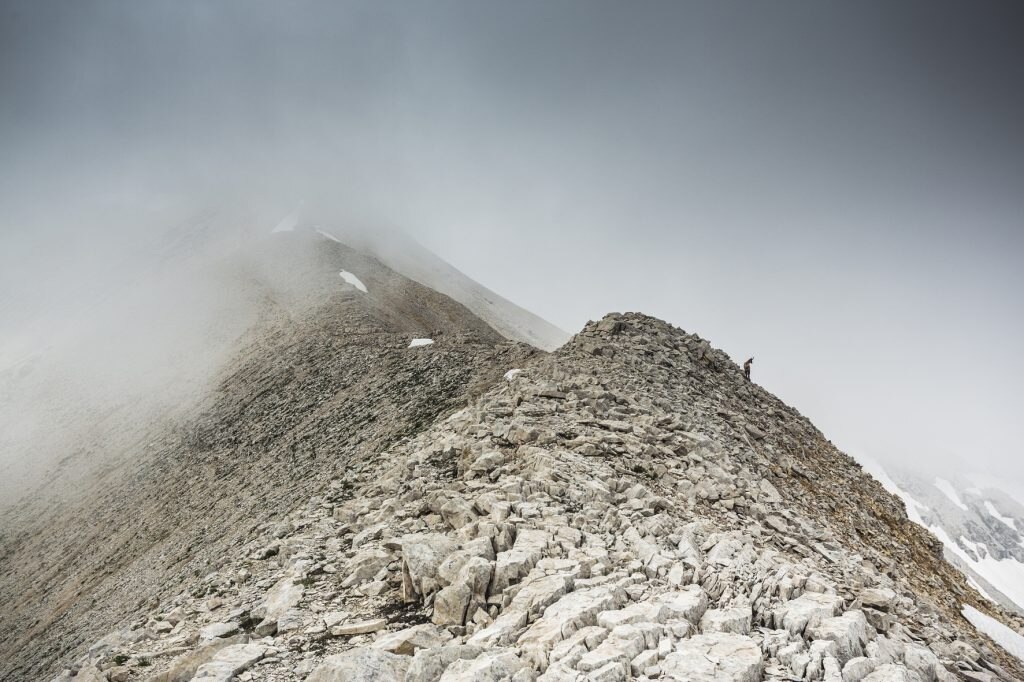 Parco Nazionale della Majella, Abruzzo - Camoscio appenninico (Rupicapra p. ornata) sul Secondo Portone - Bruno D