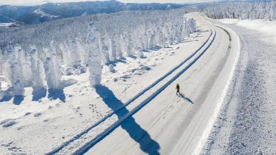 Photo of Omar Di Felice, in bici lungo il Circolo Polare Artico