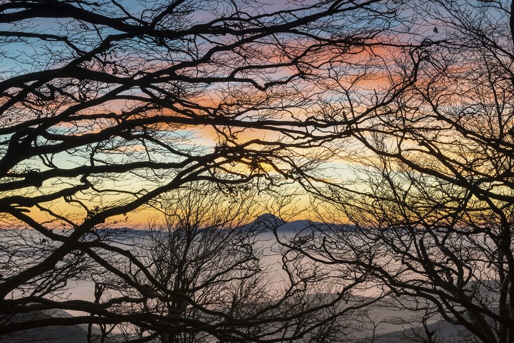 Parco regionale del Monte Cucco, Umbria. Alba sulle faggete e profilo del Monte San Vicino sullo sfondo - Maurizio Biancarelli