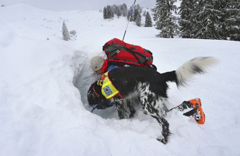 Ricerca disperso in valanga. Foto Ansa