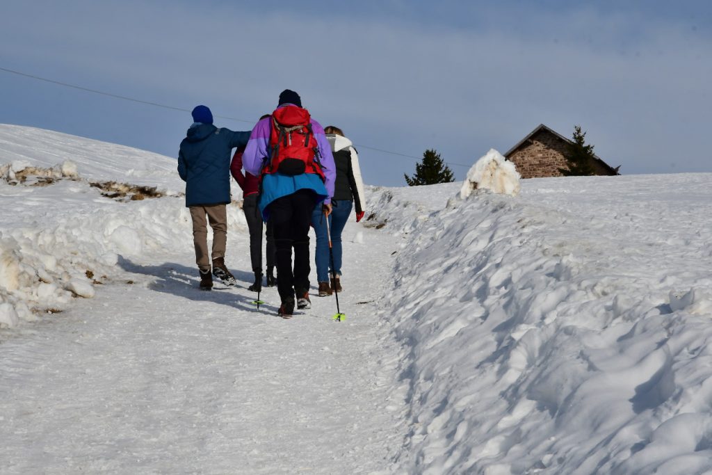 Passeggiata a Passo Oclini (Val di Fiemme), foto SA