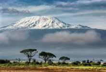 Photo of “Kilimanjaro: Going for Broke”, 4 alpinisti disabili sfidano i propri limiti