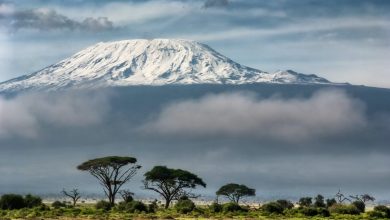 Photo of “Kilimanjaro: Going for Broke”, 4 alpinisti disabili sfidano i propri limiti