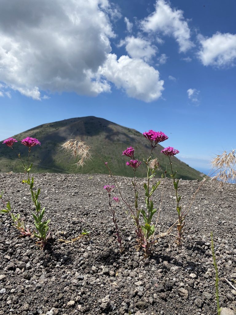 Foto FB Ente Parco Nazionale del Vesuvio
