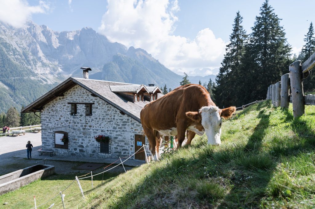 Foto FB Val di Sole