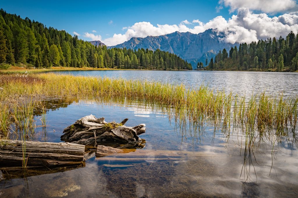 Foto FB Val di Sole