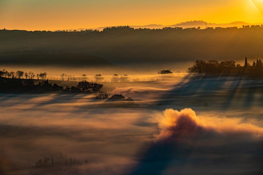 Foto Damiano Lancioni