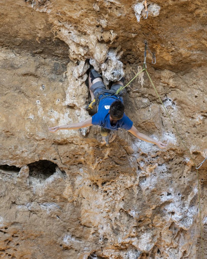 Stefano Ghisolfi su L