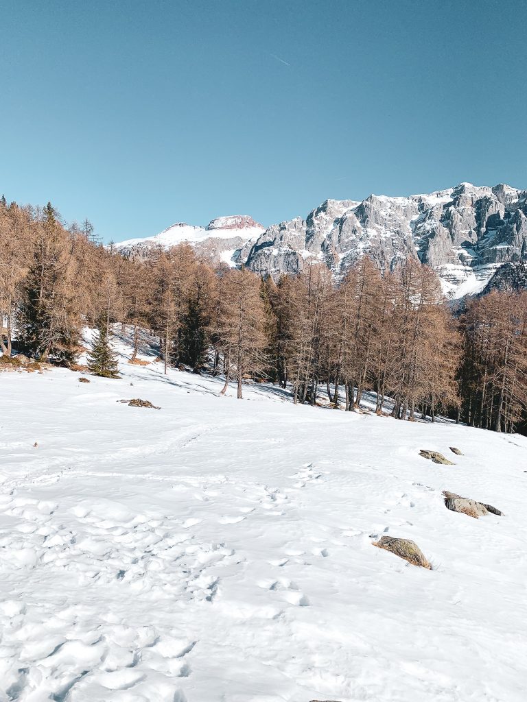 Foto FB Val di Sole