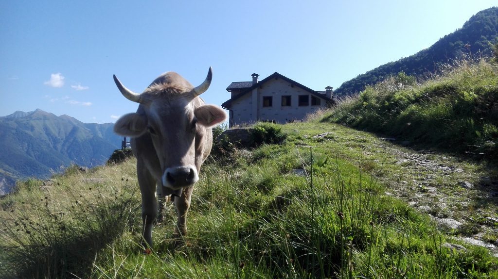 Foto FB Rifugio Parpinasca