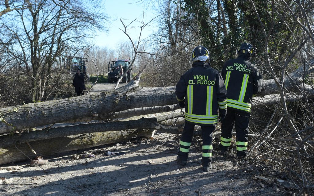 Foto ANSA/ANDREA CANALI