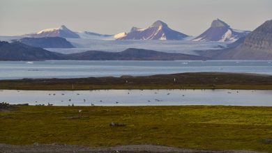 Photo of In futuro l’Artico sarà una sorgente di CO2?
