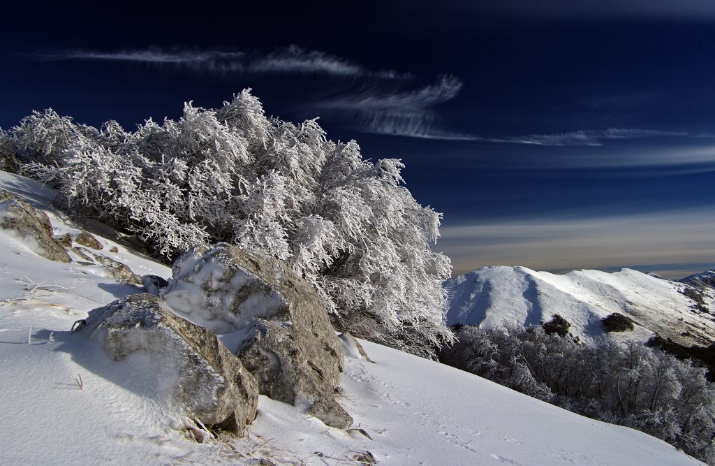 Galaverna – Serra Traversa - PNALM	Marco Pantanella – Roma RM