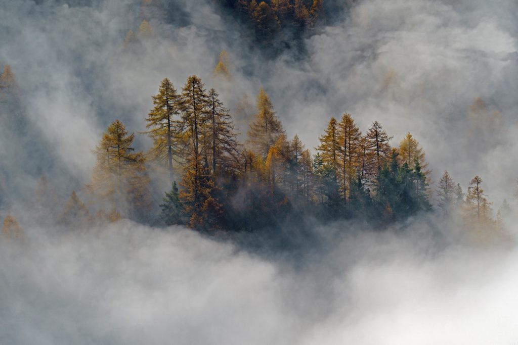 L’isola che c’è – Ceresole Reale - PNGP	Sergio Vittorio Rosa – Bruino TO