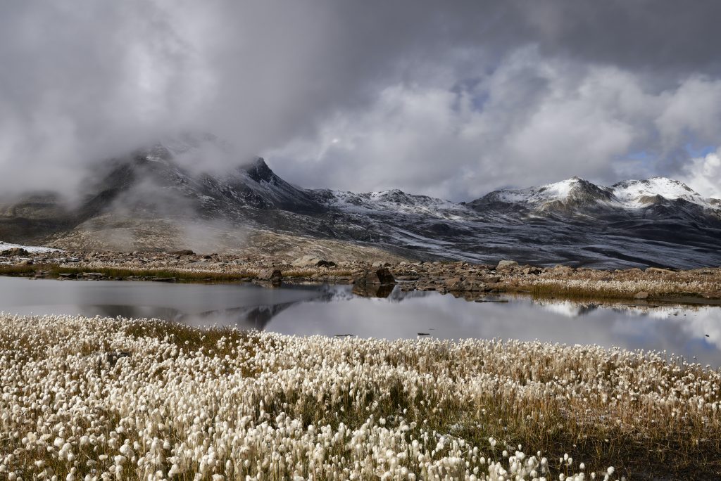 Valle di Gavia - PNS - Luciano Antonio Cossi – Sondalo SO