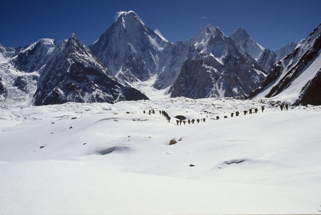 PAKISTAN PORTATORI SUL GHIACCIAIO SULLA SFONDO GASHERBRUM IV.  Foto archivio Calcagno
