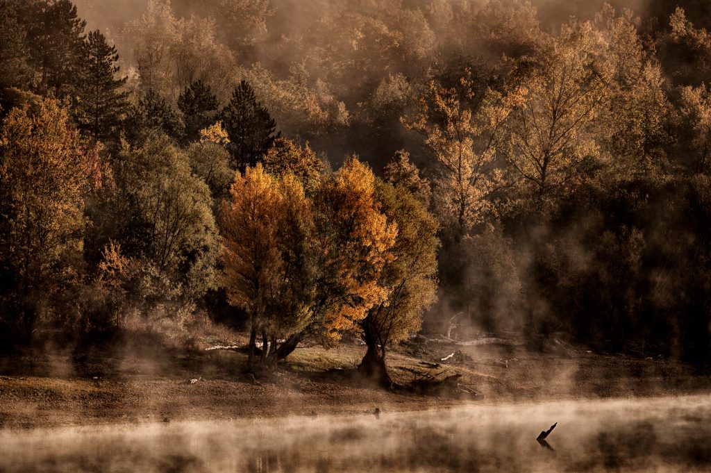 Paesaggio PNALM - Autunno sul Lago di Barrea - PNALM	Maurizio Trifilidis – Roma RM