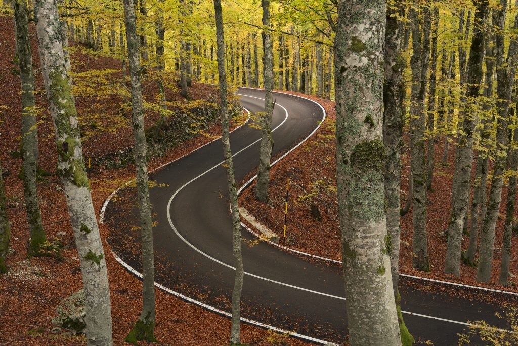 Premio Speciale - Foliage nel Parco- Forca d’Acero - PNALM - Alessandro Currò – Aprilia LT