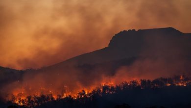 Photo of Siccità e venti forti, è allerta incendi sull’arco alpino