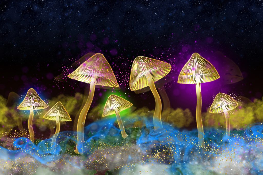 Funghi bioluminescenti - Foto Pixabay @Viki_B