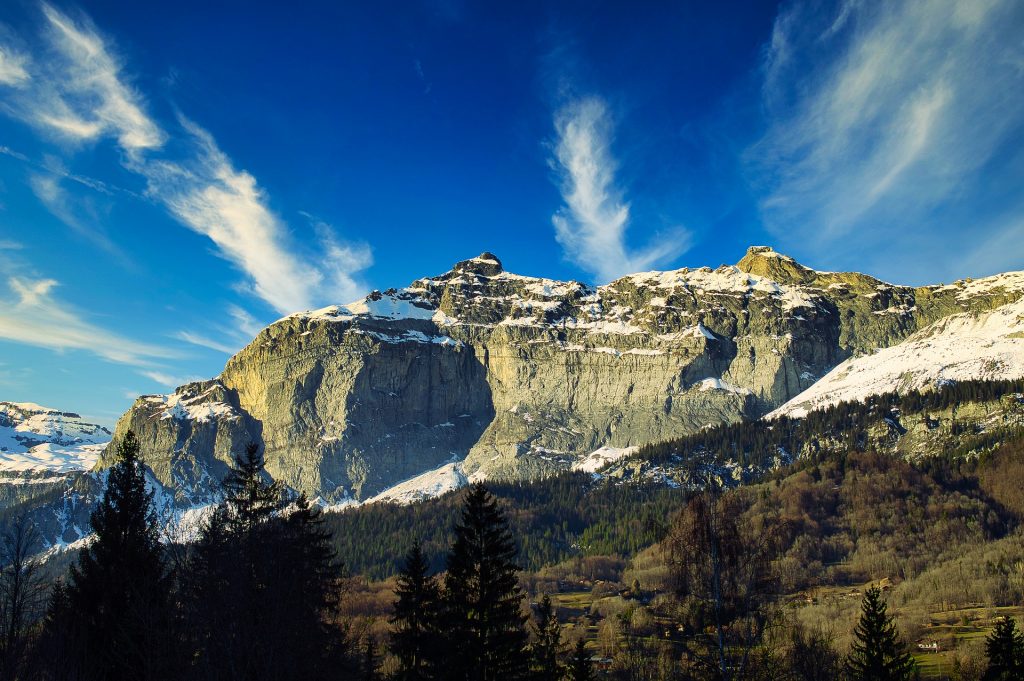 Foto Pixabay @Roses_Street