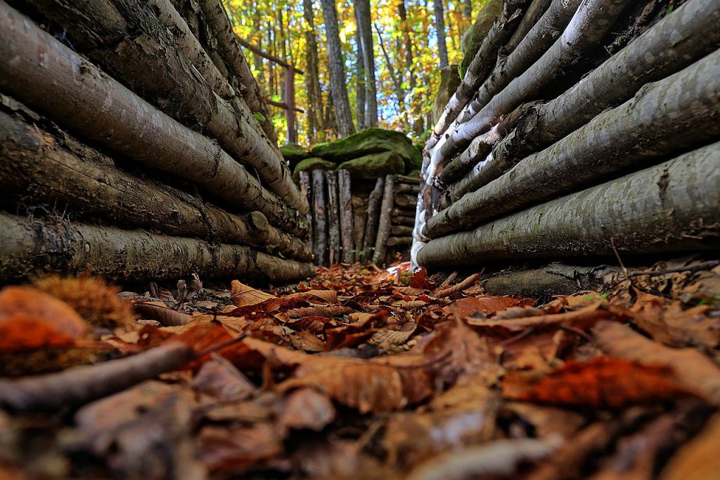 Trincea della Linea Gotica, Iola di Montese (MO) - Wikimedia Commons @Roberto Ferrari