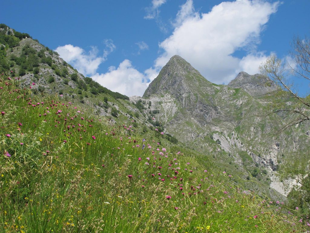 Alpi Apuane - Foto FB Rifugio Adelmo Puliti - CAI sezione Pietrasanta