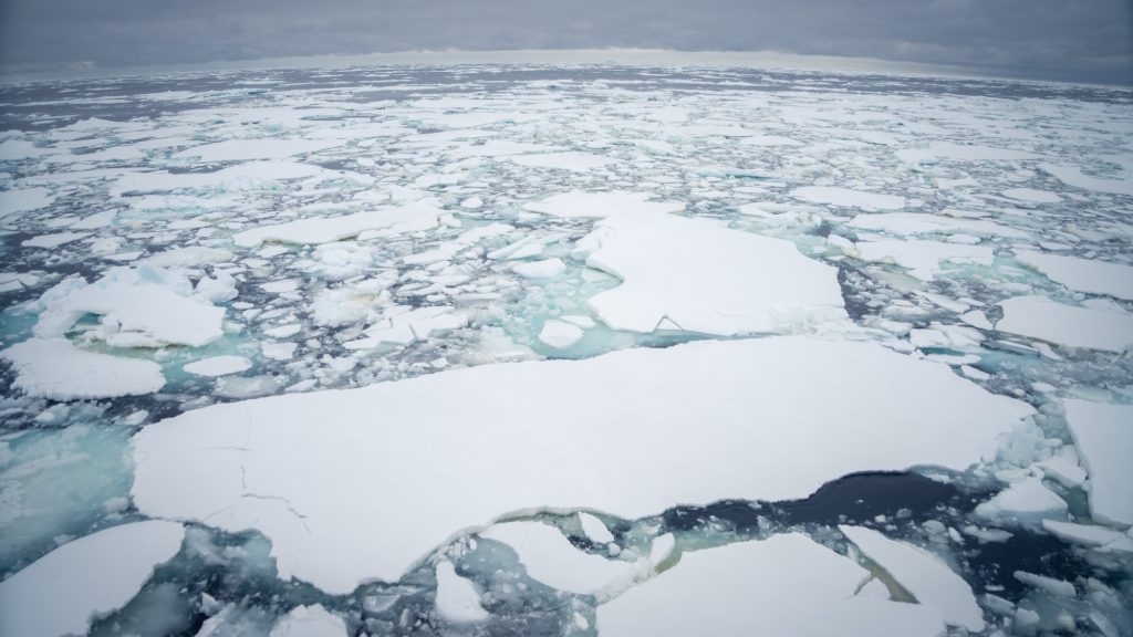 Ghiacci antartici - Credit Falklands Maritime Heritage Trust and Nick Birtwistle