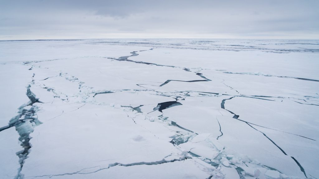 Ghiacci antartici - Credit Falklands Maritime Heritage Trust and Nick Birtwistle