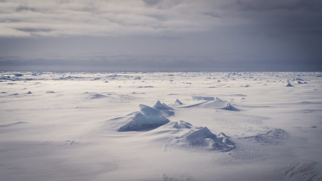 Ghiacci antartici - Credit Falklands Maritime Heritage Trust and Nick Birtwistle