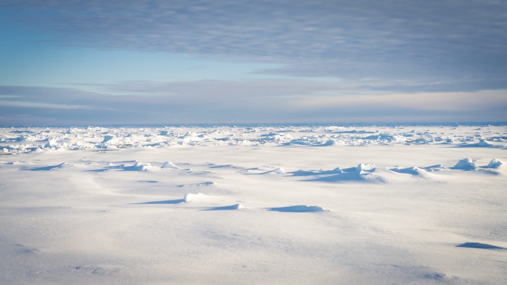 Ghiacci antartici - Credit Falklands Maritime Heritage Trust and Nick Birtwistle