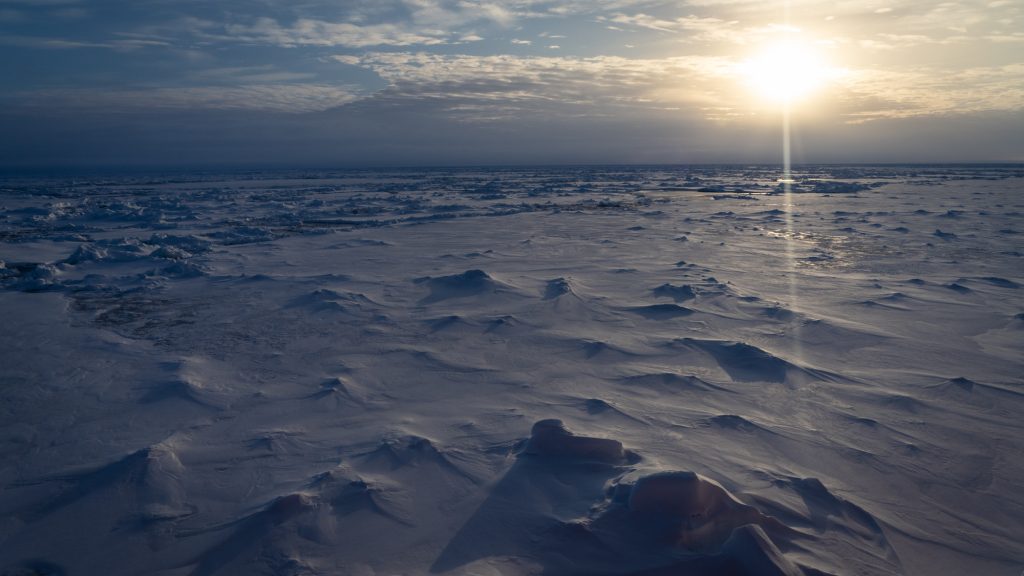 Ghiacci antartici - Credit Falklands Maritime Heritage Trust and Nick Birtwistle
