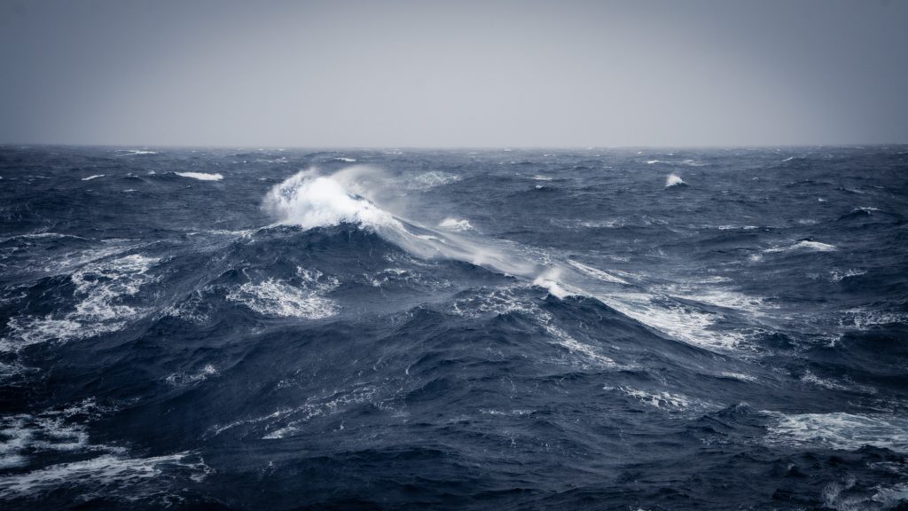 Immagini della spedizione -  Credit Falklands Maritime Heritage Trust and Nick Birtwistle