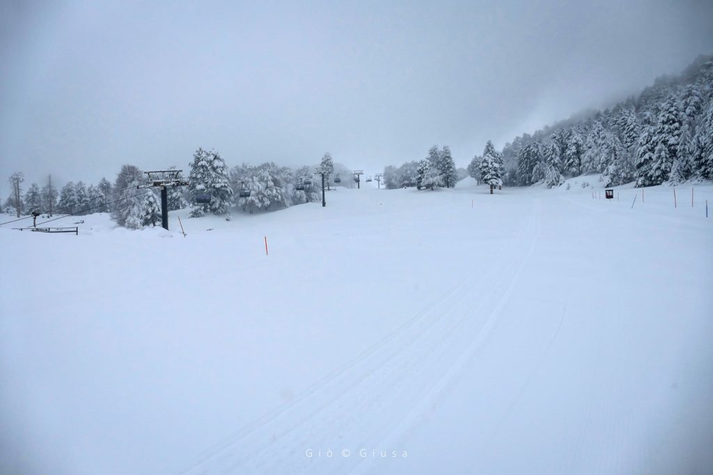 Piano Provenzana - Monte Conca
Etna Nord -Linguaglossa 20/03/2022 - Foto: Giò Giusa - FB @Etna e Dintorni in foto