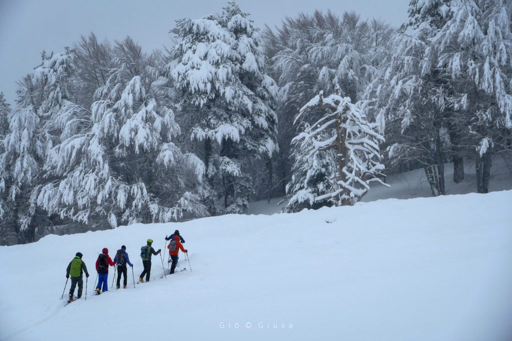 Piano Provenzana - Monte Conca
Etna Nord -Linguaglossa 20/03/2022 - Foto: Giò Giusa - FB @Etna e Dintorni in foto