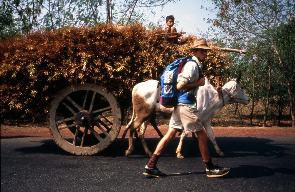Everest - Sea to Summit - Foto TFF