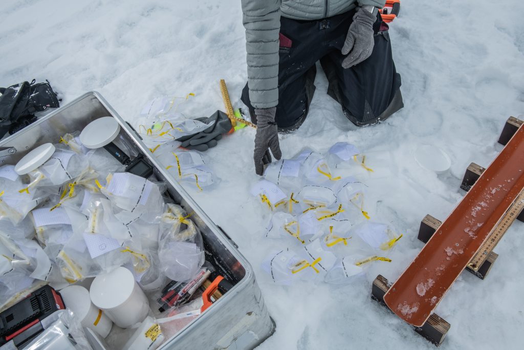 Raccolta di campioni di ghiaccio - Credit Esther Horvath
