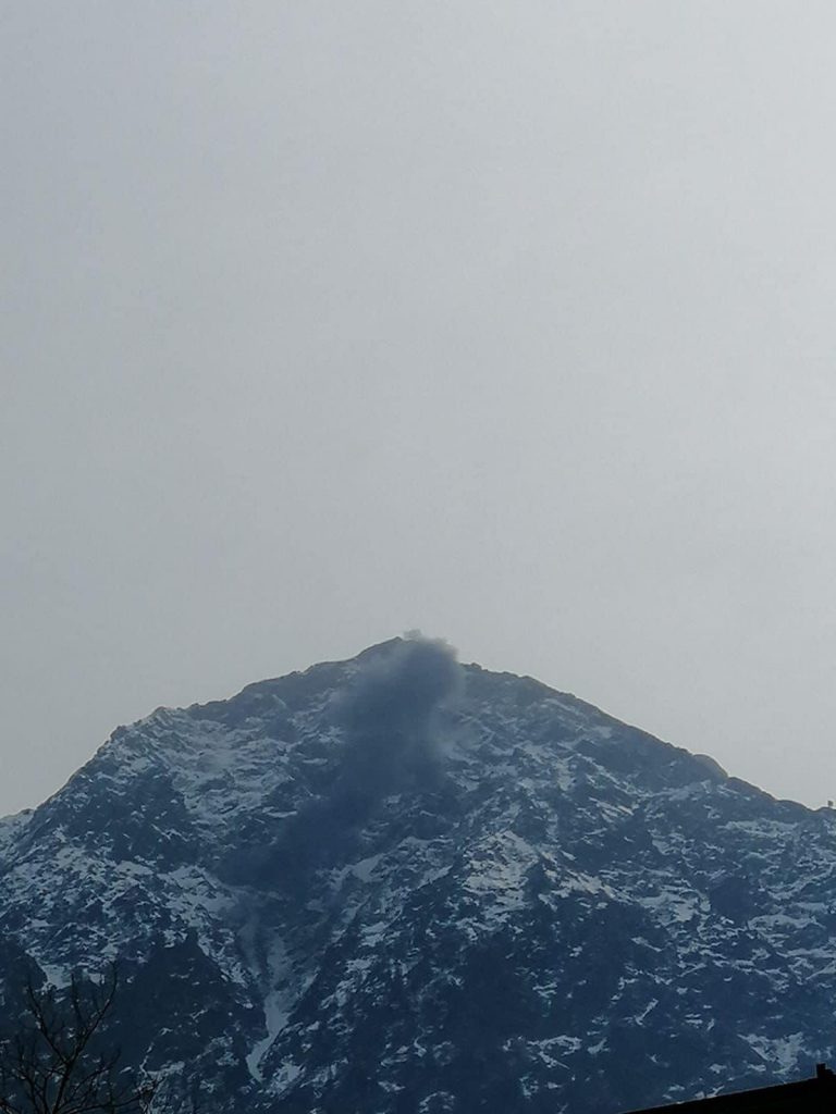 Screen video via Twitter