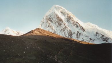 Il Pumori. Foto wikimedia commons
