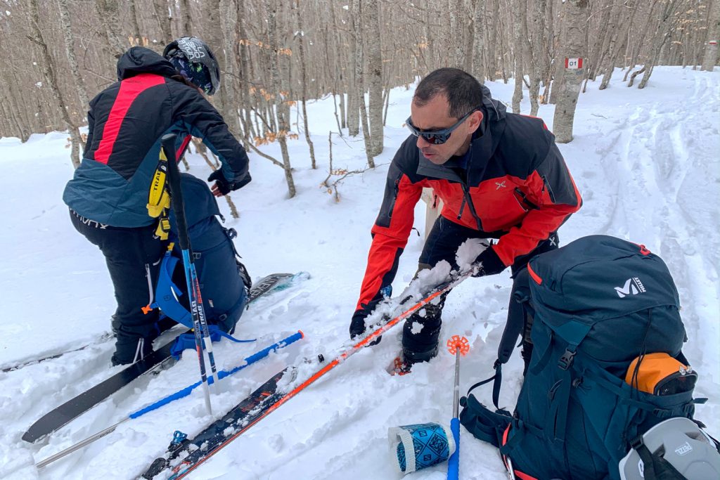 Nelle faggete del Pizzalto