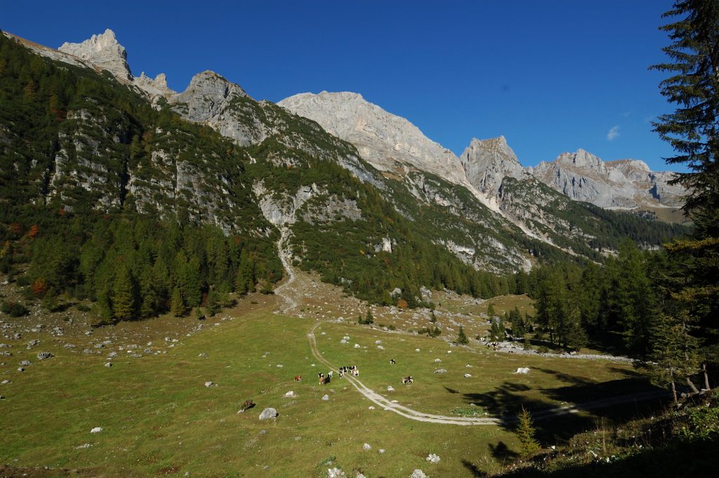 Tovel, la valle degli orsi